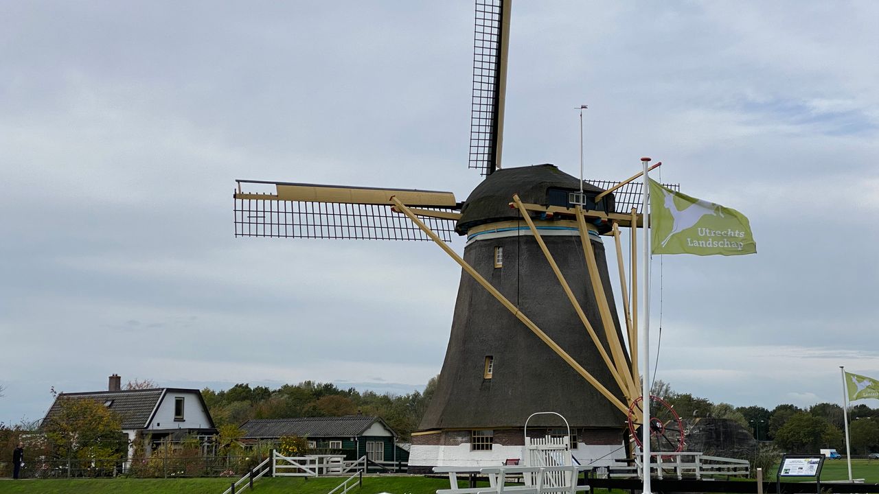 Actie Utrechts Landschap voor molens succesvol: ‘We hebben al 90 procent van het geld opgehaald’