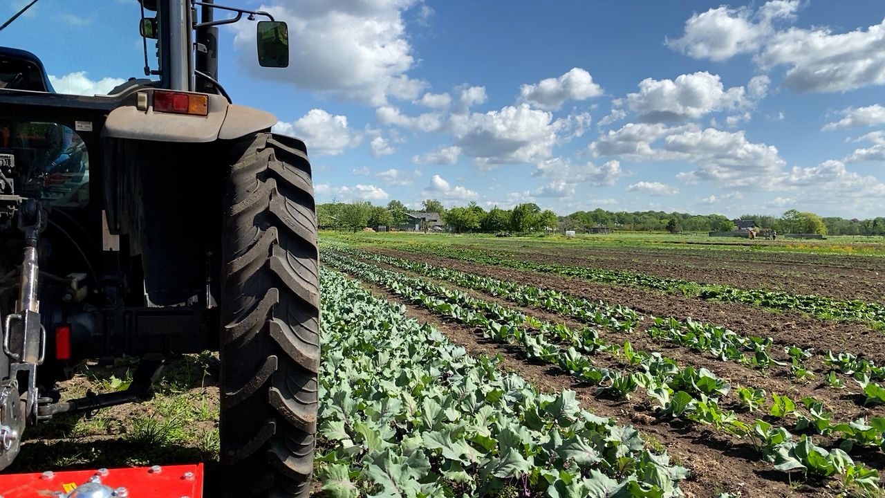 Herenboerderij Nieuw Bureveld geopend: ‘Zo worden burgers weer een beetje eigenaar van hun eigen voedselproductie’