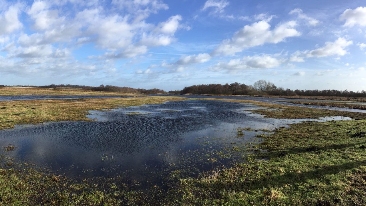 Zeldzame mossoort gevonden in polder bij Westbroek